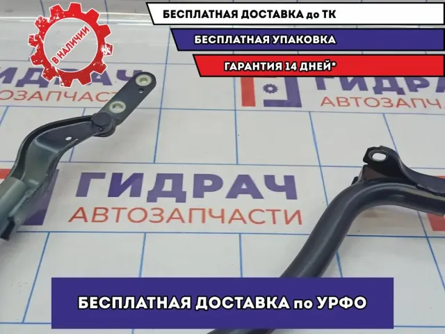 Петля крышки багажника правая BMW 6 (E63) 41627175304.