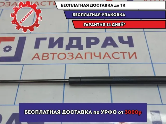 Амортизатор крышки багажника BMW 6 (E63) 51247008764.