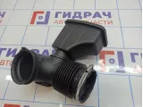 Патрубок воздушного фильтра BMW 6 (E63) 13717521029.