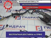 Проводка АКПП BMW 6 (E63) 12517574036.