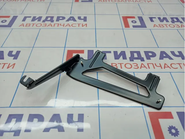 Кронштейн блока управления BMW 7-Series (F02) 65159153137. Камеры заднего вида.