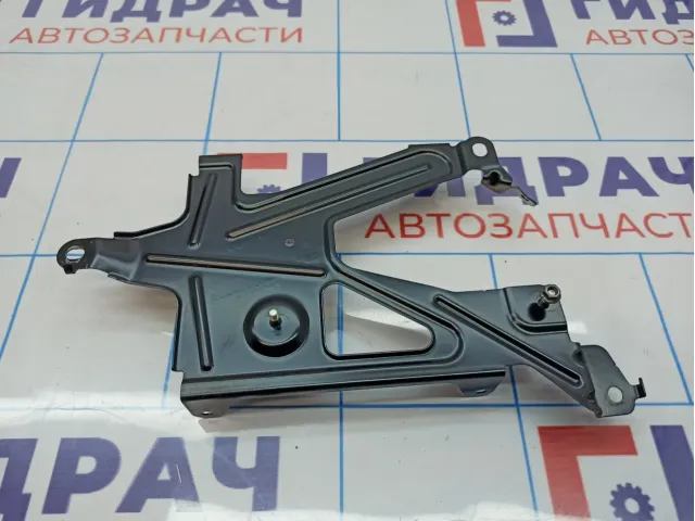 Кронштейн блока управления BMW 7-Series (F02) 65159153139. TV Модуля.