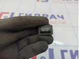 Кнопка открывания багажника BMW 7-Series (F02) 61319200316.