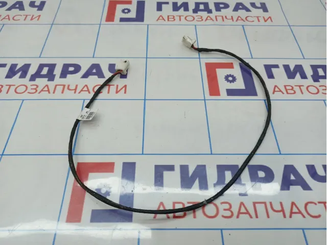 Проводка BMW 7-Series (F02) 969713101.