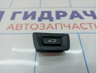 Кнопка открывания багажника BMW 7-Series (F02) 61319275119.