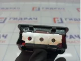 Плафон салонный BMW 7-Series (F02) 63319185401. В крышку багажника.