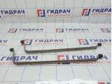 Лента крепления бензобака BMW 7-Series (F02) 16117184963. Комплект.