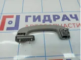Ручка внутренняя потолочная задняя левая BMW 7-Series (F02) 51167216509. Царапина.
