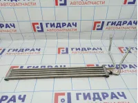 Радиатор гидроусилителя BMW 7-Series (F02) 17117576825.