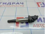 Катушка зажигания BMW 7-Series (F02) 12138616153. Delphi.