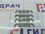 Кронштейн форсунки BMW 7-Series (F02) 13647598000. Комплект.