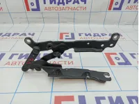 Петля капота правая BMW 7-Series (F02) 41007204556.