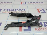 Петля капота правая BMW 7-Series (F02) 41007204556.
