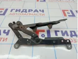 Петля капота правая BMW 7-Series (F02) 41007204556.