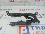 Петля капота левая BMW 7-Series (F02) 41007204555.