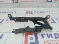 Петля капота левая BMW 7-Series (F02) 41007204555.