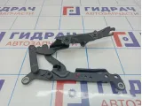 Петля капота левая BMW 7-Series (F02) 41007204555.