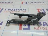 Петля капота левая BMW 7-Series (F02) 41007204555.
