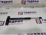 Ограничитель двери передний правой BMW 7-Series (F02) 51217177616.