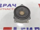 Динамик BMW 7-Series (F02) 65139141501.