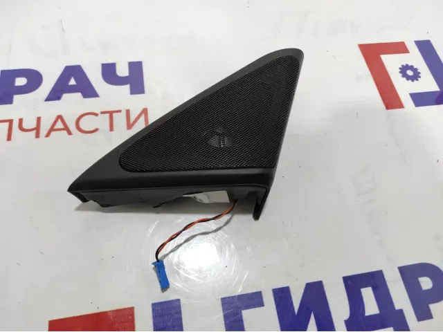 Крышка зеркала внутренняя правая BMW 7-Series (F02) 51337226614. С динамиком.