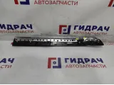 Накладка декоративная передней левой двери BMW 7-Series (F02) 51419115533.