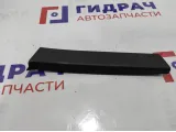 Накладка двери задней левой BMW 7-Series (F02) 51359141425.