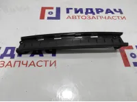 Накладка двери задней правой BMW 7-Series (F02) 51359141420.