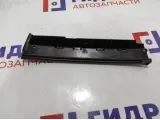 Накладка двери задней правой BMW 7-Series (F02) 51359141420.