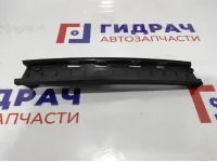 Накладка двери задней левой BMW 7-Series (F02) 51359141419.