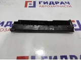 Накладка двери задней левой BMW 7-Series (F02) 51359141419.