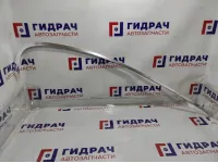 Молдинг задней правой двери BMW 7-Series (F02) 51357179118. Хром.На дверной проем.