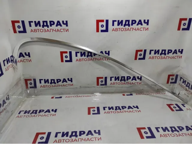 Молдинг задней правой двери BMW 7-Series (F02) 51357179118. Хром.На дверной проем.