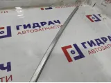 Молдинг задней правой двери BMW 7-Series (F02) 51357179118. Хром.На дверной проем.