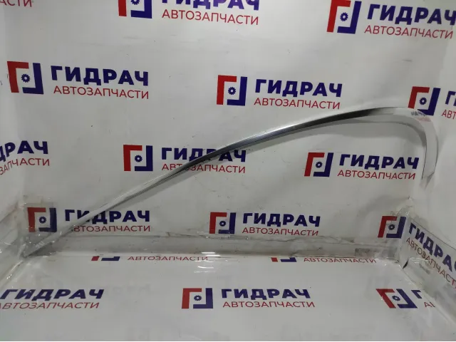 Молдинг задней левой двери BMW 7-Series (F02) 51357179117. Хром.На дверной проем.