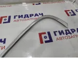 Молдинг задней левой двери BMW 7-Series (F02) 51357179117. Хром.На дверной проем.