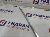 Молдинг задней левой двери BMW 7-Series (F02) 51357179117. Хром.На дверной проем.