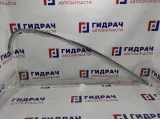 Молдинг задней левой двери BMW 7-Series (F02) 51357179117. Хром.На дверной проем.