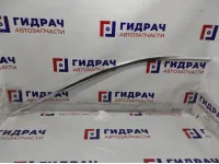 Молдинг передней левой двери BMW 7-Series (F02) 51337177947. Хром.На дверной проем.