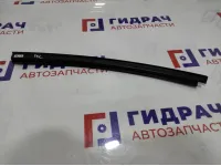 Направляющая стекла двери задней левой BMW 7-Series (F02) 51357177957.