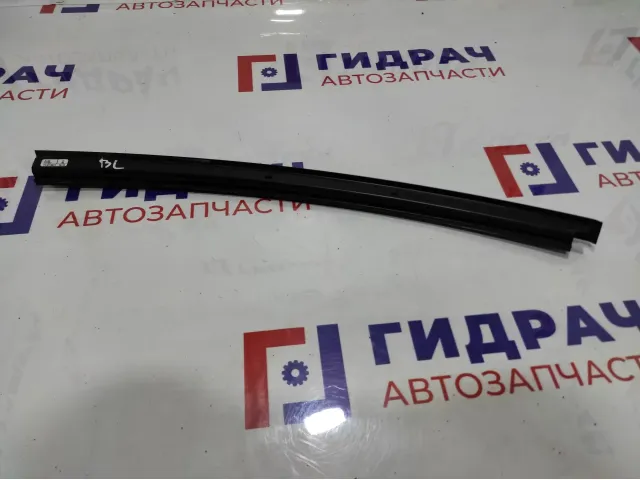 Направляющая стекла двери задней левой BMW 7-Series (F02) 51357177957.