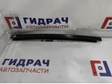 Направляющая стекла двери задней правой BMW 7-Series (F02) 51357177958.