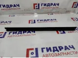 Уплотнитель стекла двери передней левой BMW 7-Series (F02) 51337178003.
