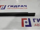 Уплотнитель стекла двери передней правой BMW 7-Series (F02) 51337178004.