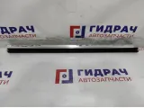 Уплотнитель стекла двери задней правой BMW 7-Series (F02) 51357206452.