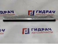 Уплотнитель стекла двери задней правой BMW 7-Series (F02) 51357206452.