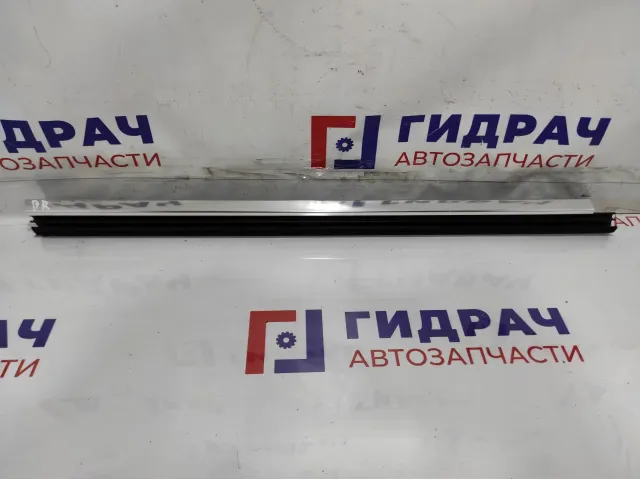 Уплотнитель стекла двери задней правой BMW 7-Series (F02) 51357206452.