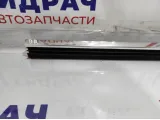 Уплотнитель стекла двери задней правой BMW 7-Series (F02) 51357206452.