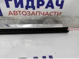 Уплотнитель стекла двери задней правой BMW 7-Series (F02) 51357206452.