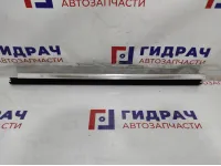 Уплотнитель стекла двери задней левой BMW 7-Series (F02) 51357206451.